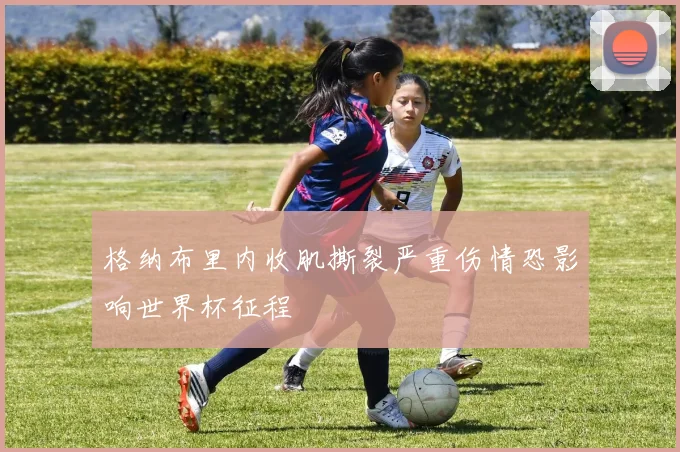 格纳布里内收肌撕裂严重伤情恐影响世界杯征程
