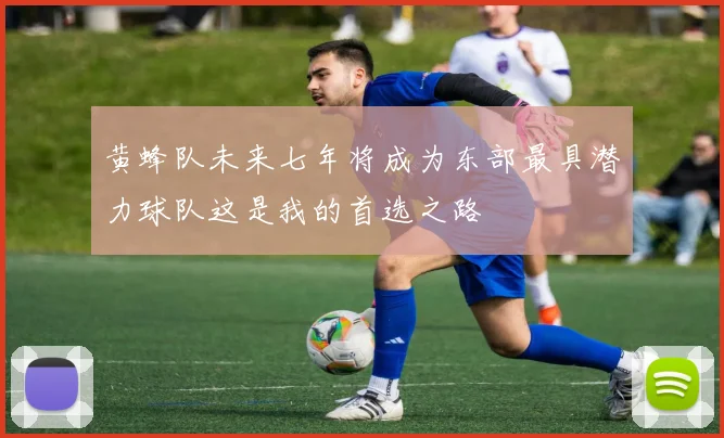 黄蜂队未来七年将成为东部最具潜力球队这是我的首选之路