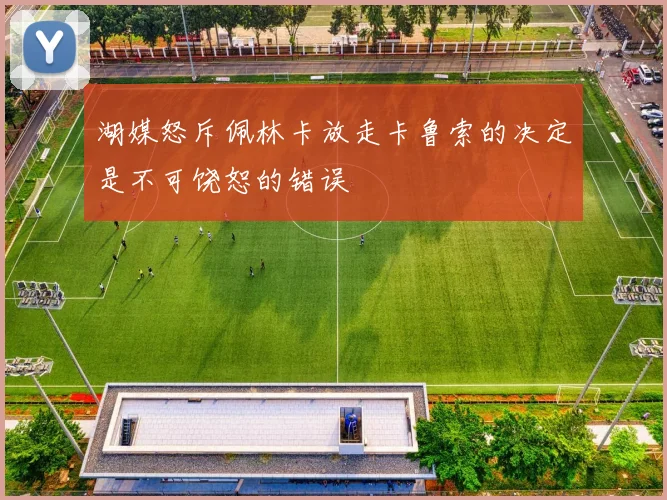 湖媒怒斥佩林卡放走卡鲁索的决定是不可饶恕的错误
